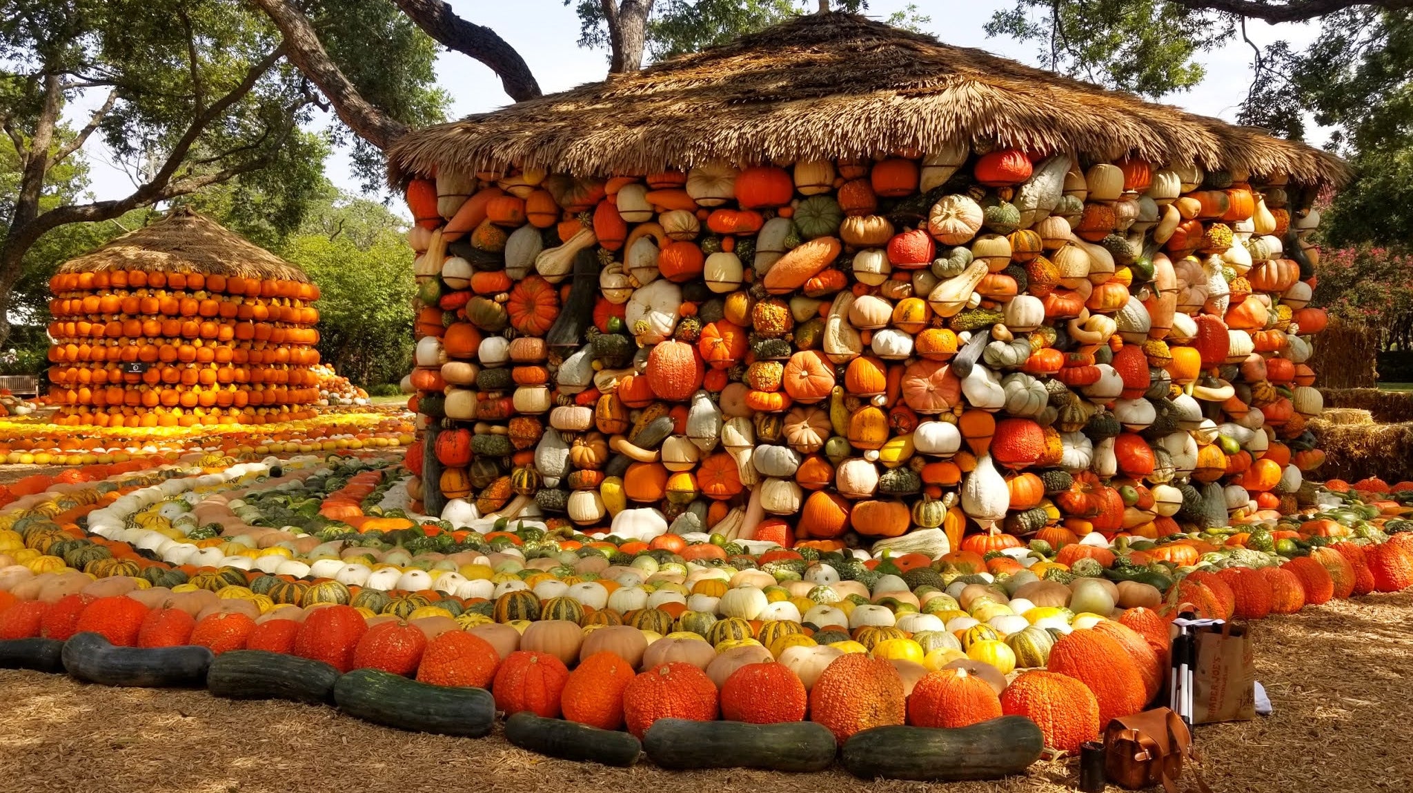 Fall Flower Festivals Around the World: A Celebration of Autumn Blooms - Immanuel Florist