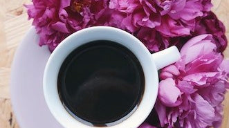 Flower Facts 101 - Immanuel Florist