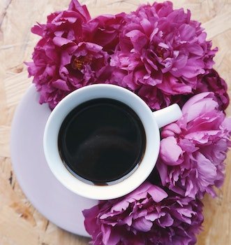 Flower Facts 101 - Immanuel Florist