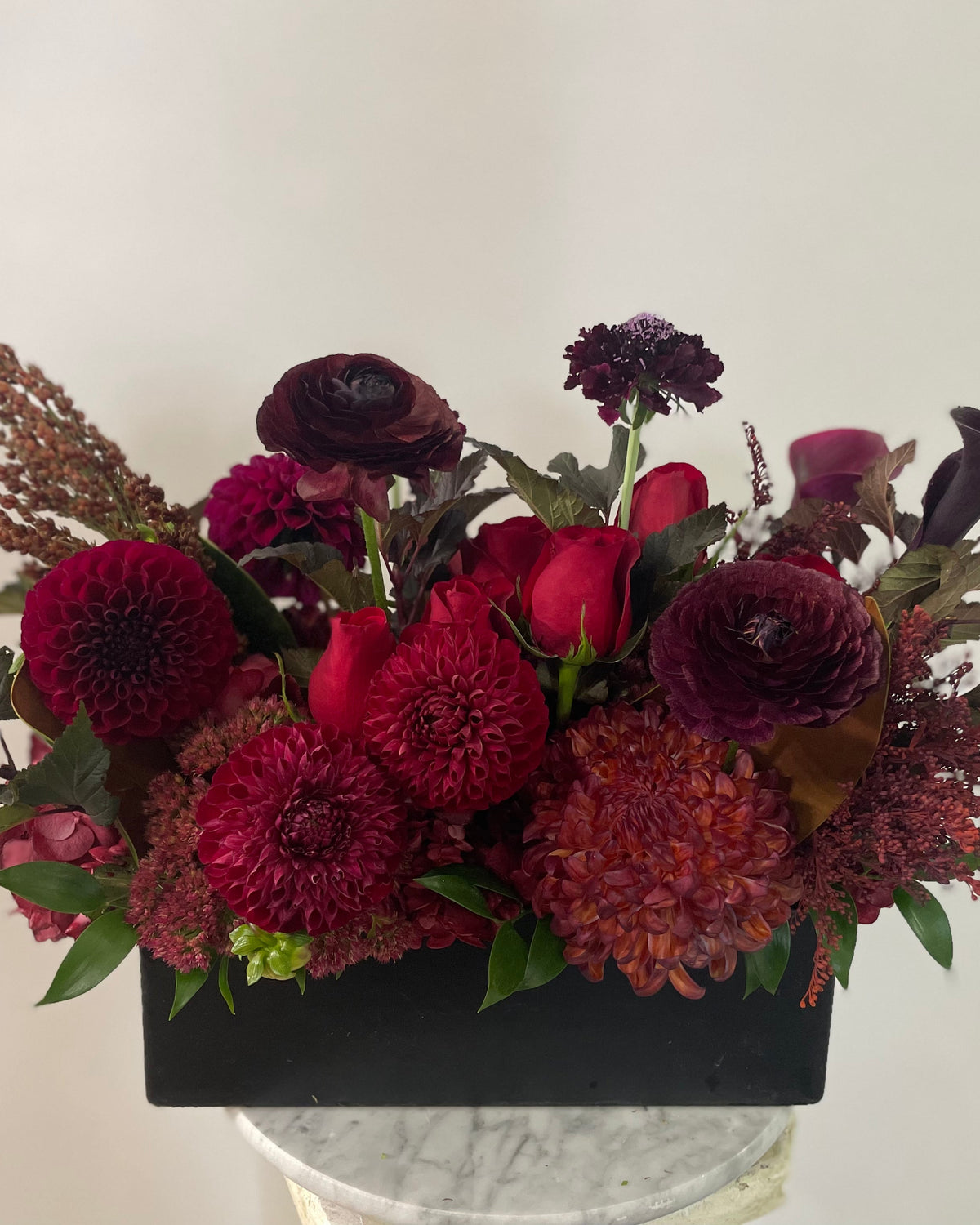 Noir Blossom - Immanuel Florist