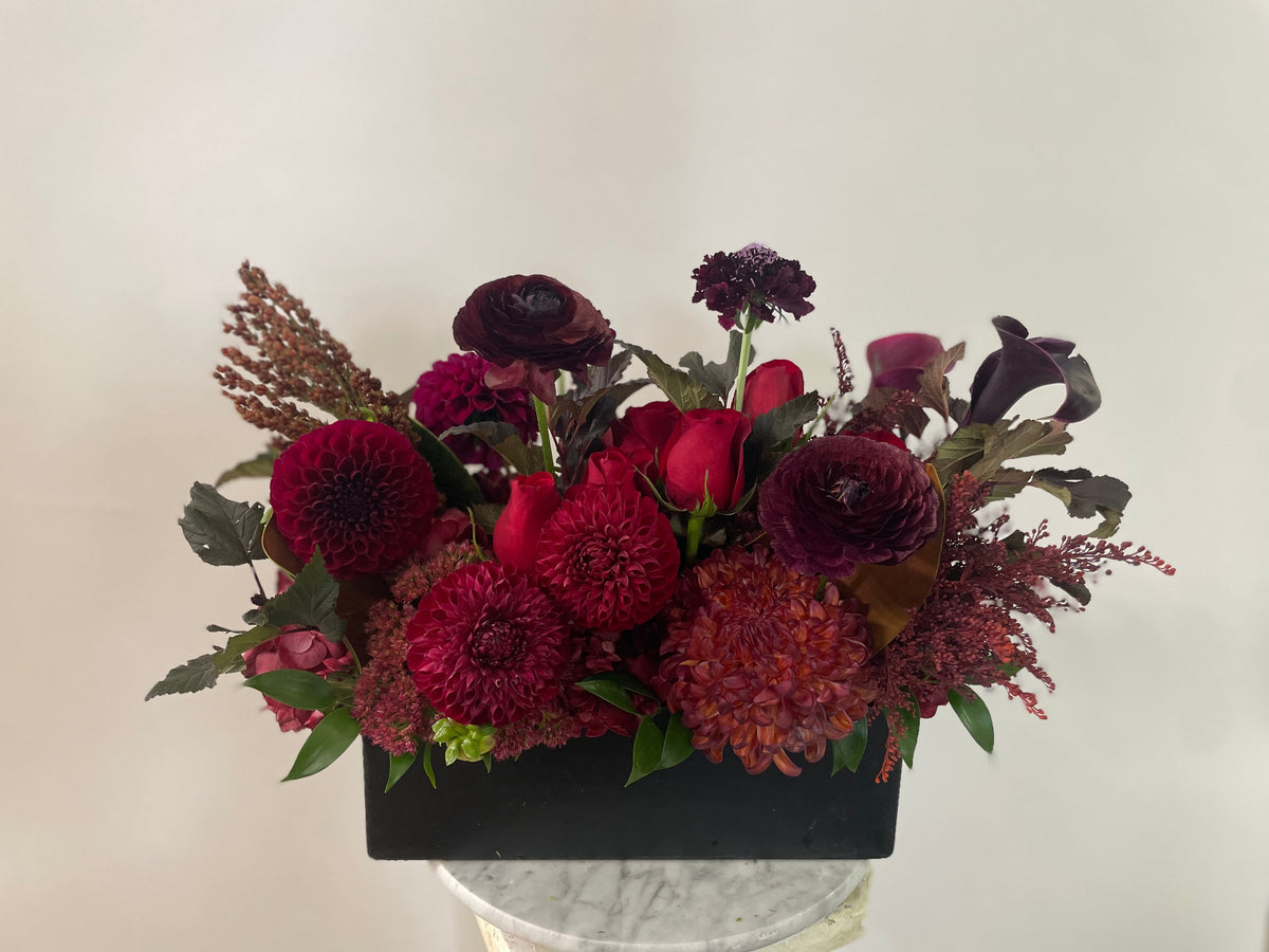 Noir Blossom - Immanuel Florist