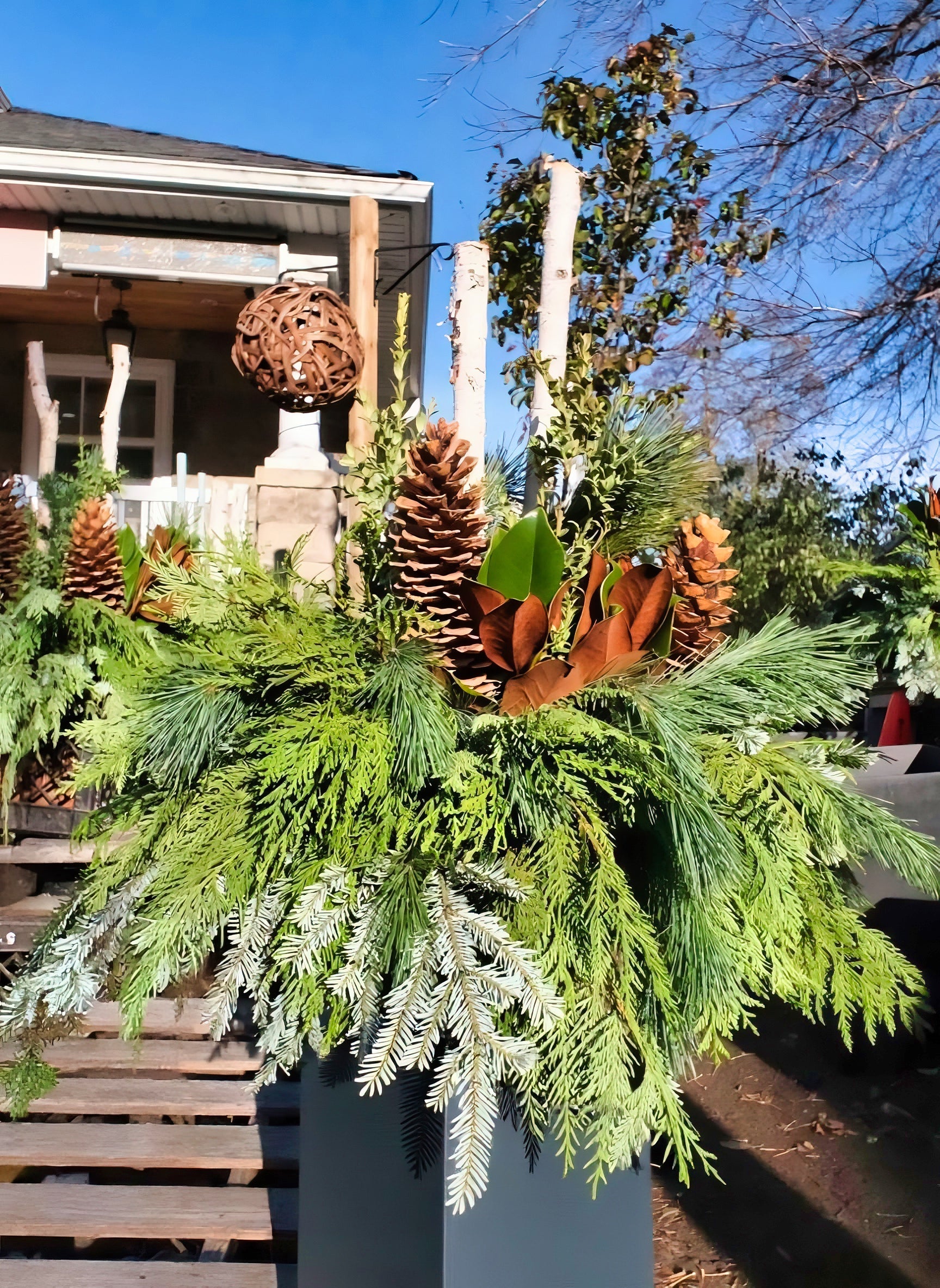 Winter Urn Planter - Immanuel Florist