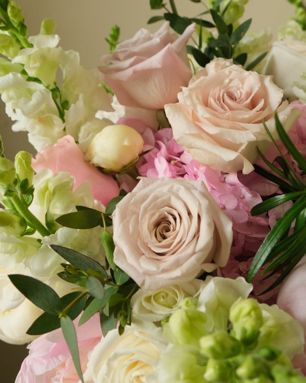 Beautiful Grace - Immanuel Florist