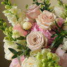 Beautiful Grace - Immanuel Florist