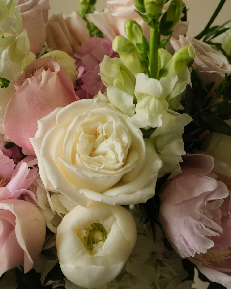 Beautiful Grace - Immanuel Florist