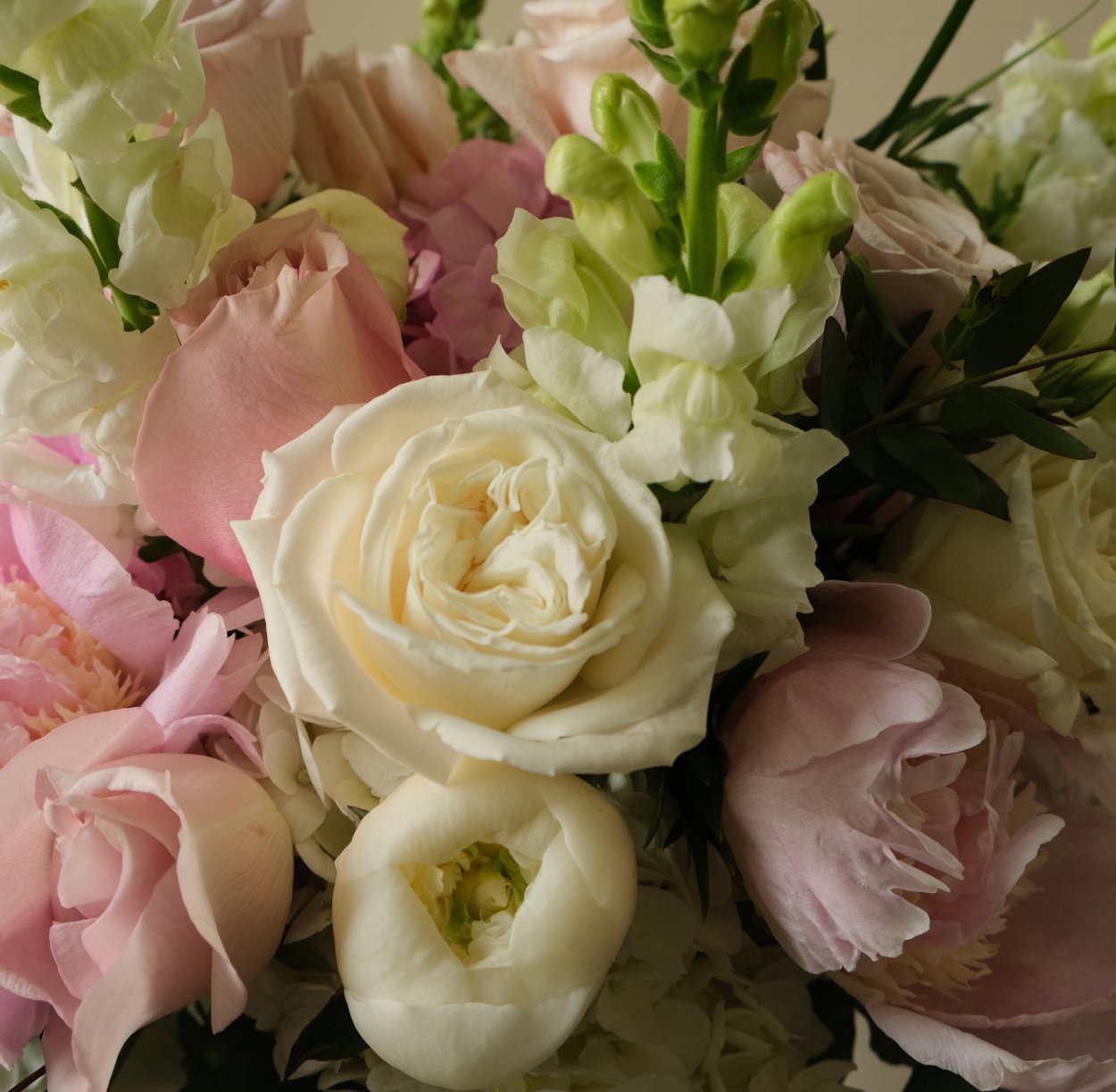 Beautiful Grace - Immanuel Florist