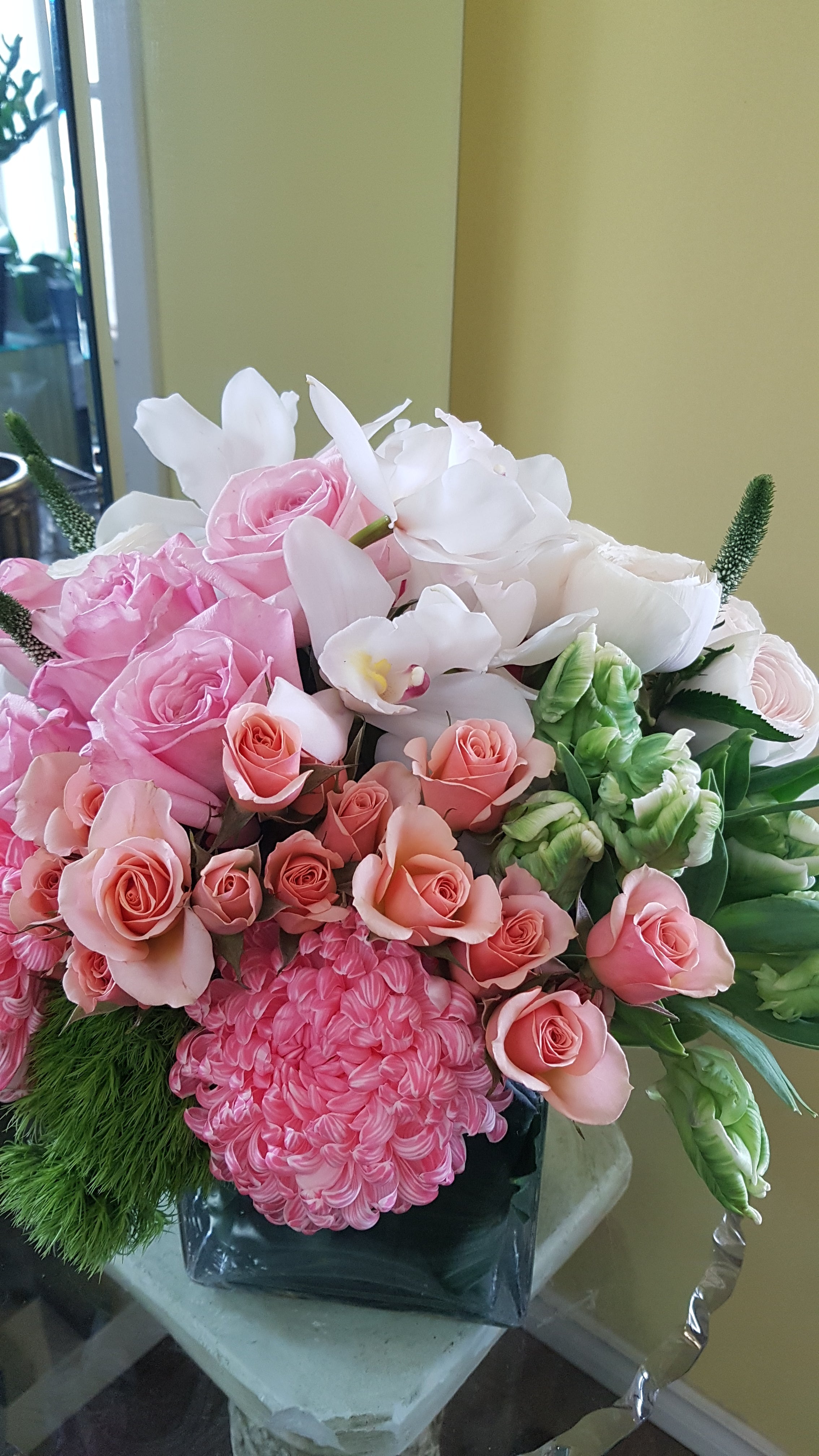 Coral Princess - Immanuel Florist