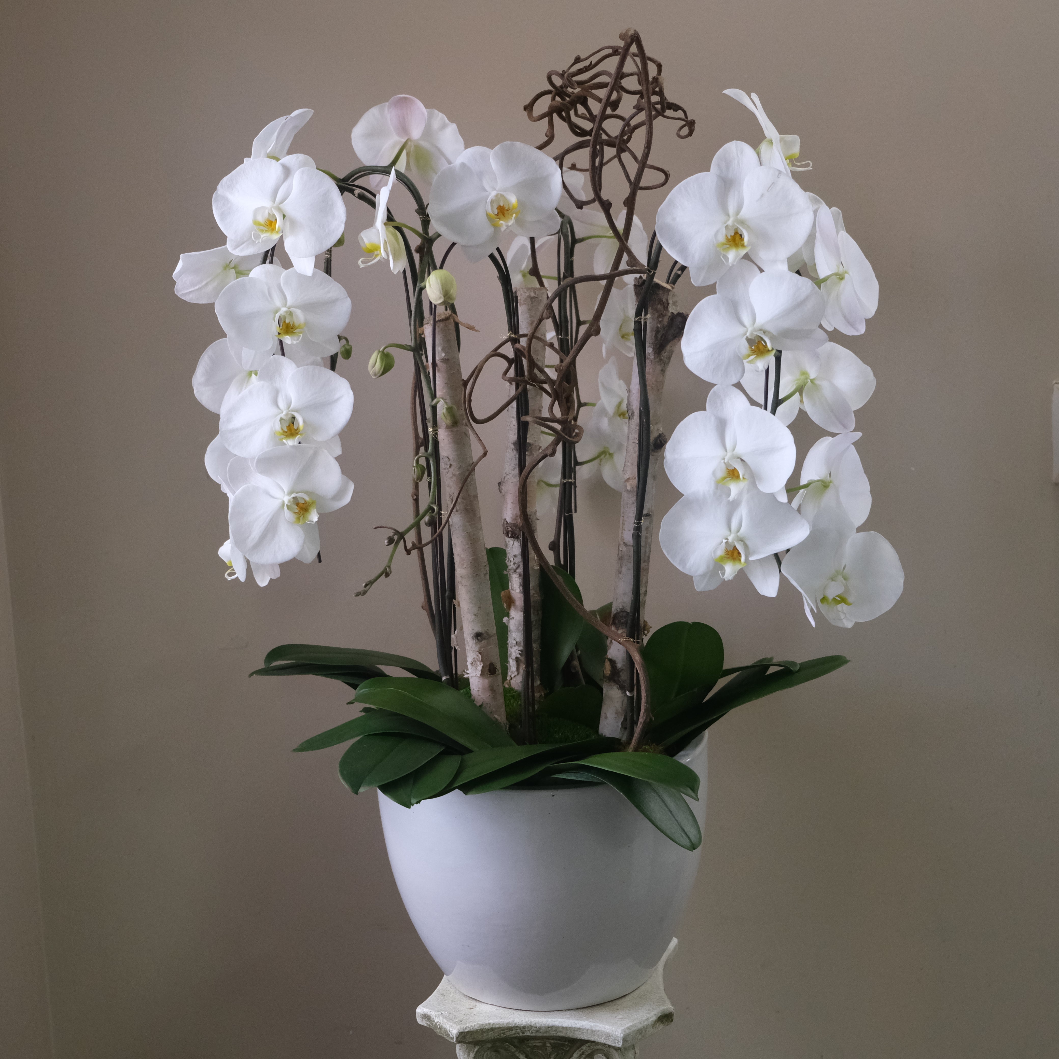 Eternal Fountain - Immanuel Florist