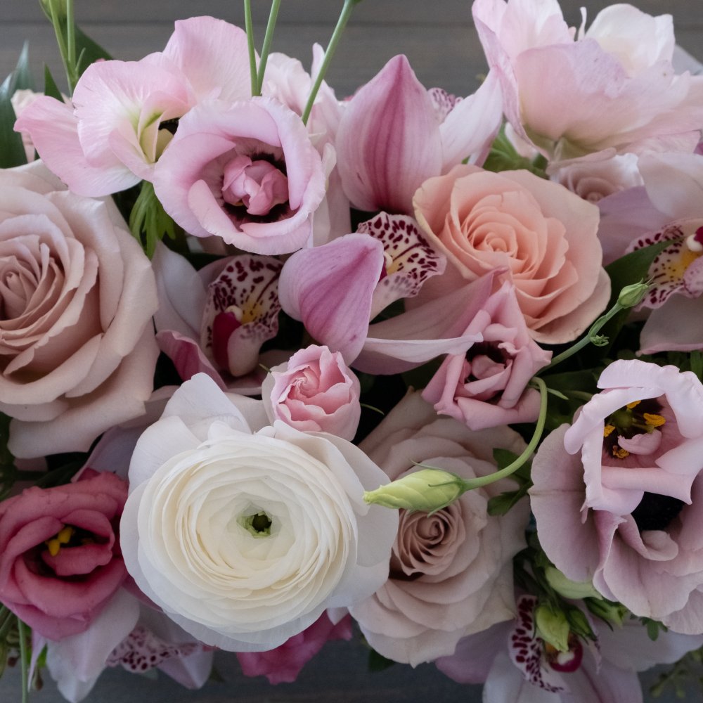 Fairest of Them All - Immanuel Florist