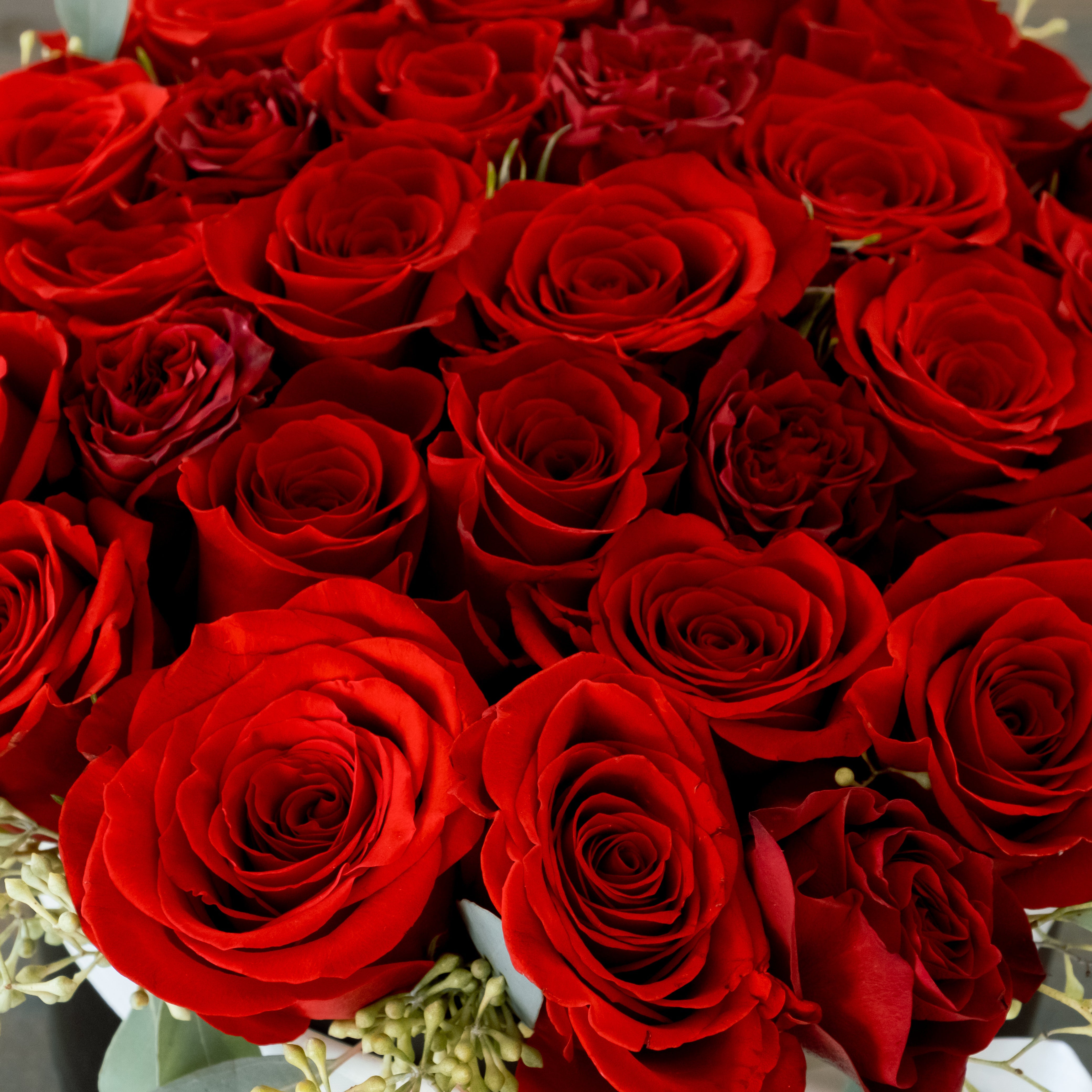 Forever Mine - Immanuel Florist