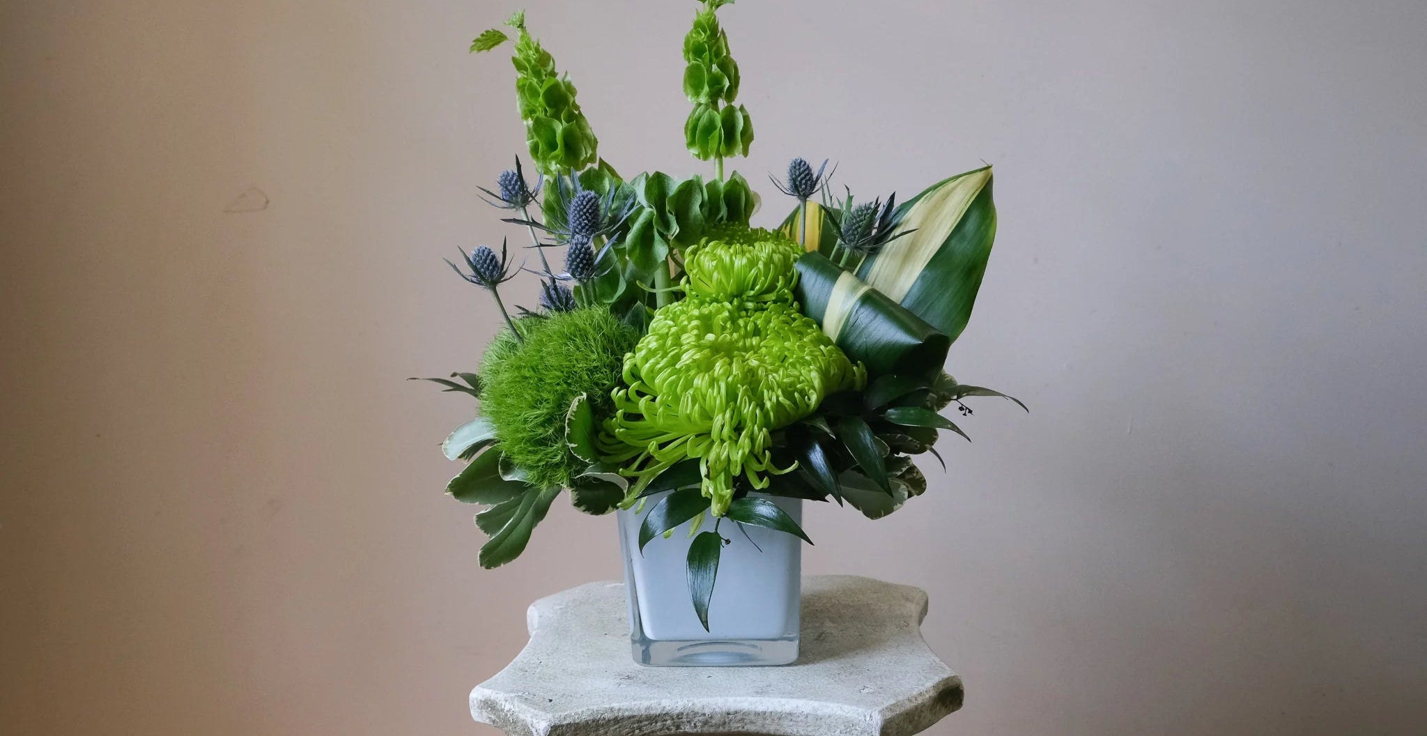 Green Envy - Immanuel Florist