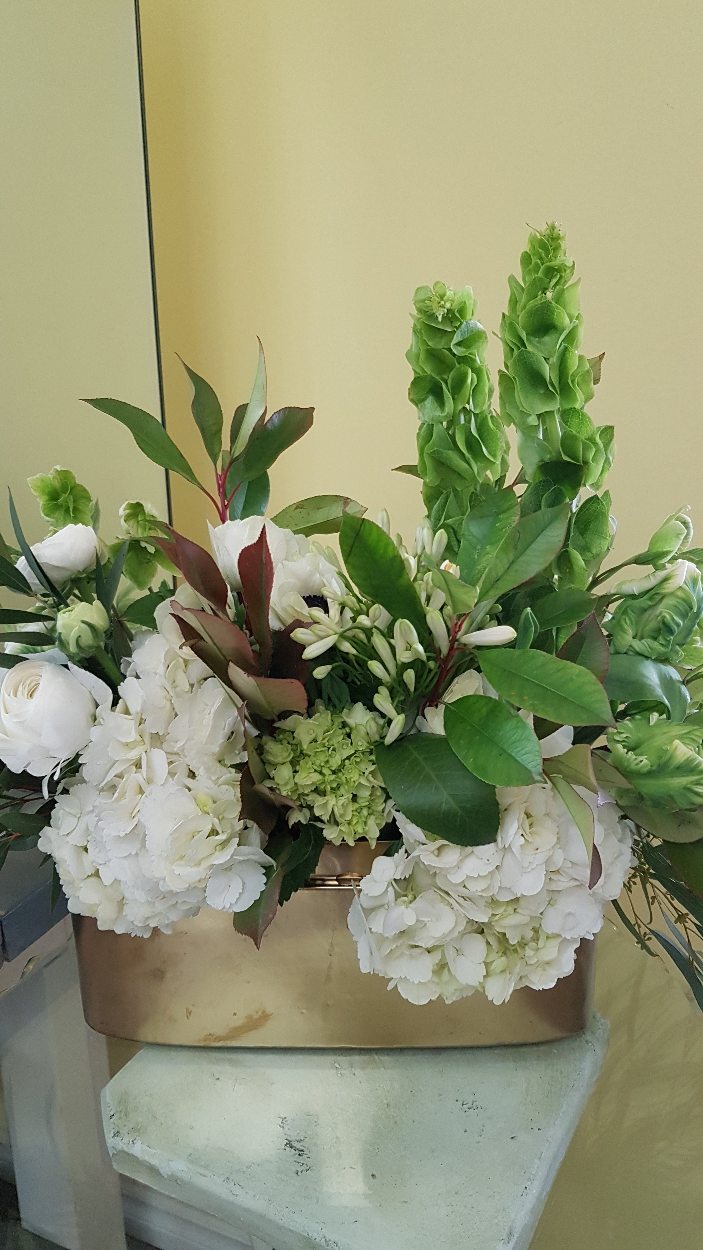 Green passion - Immanuel Florist
