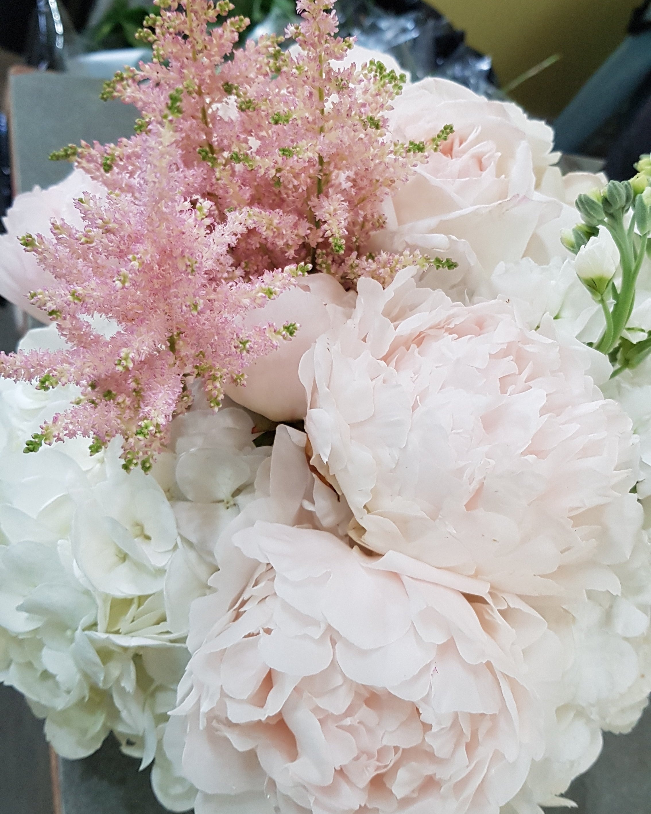 Hazel Blushes - Immanuel Florist