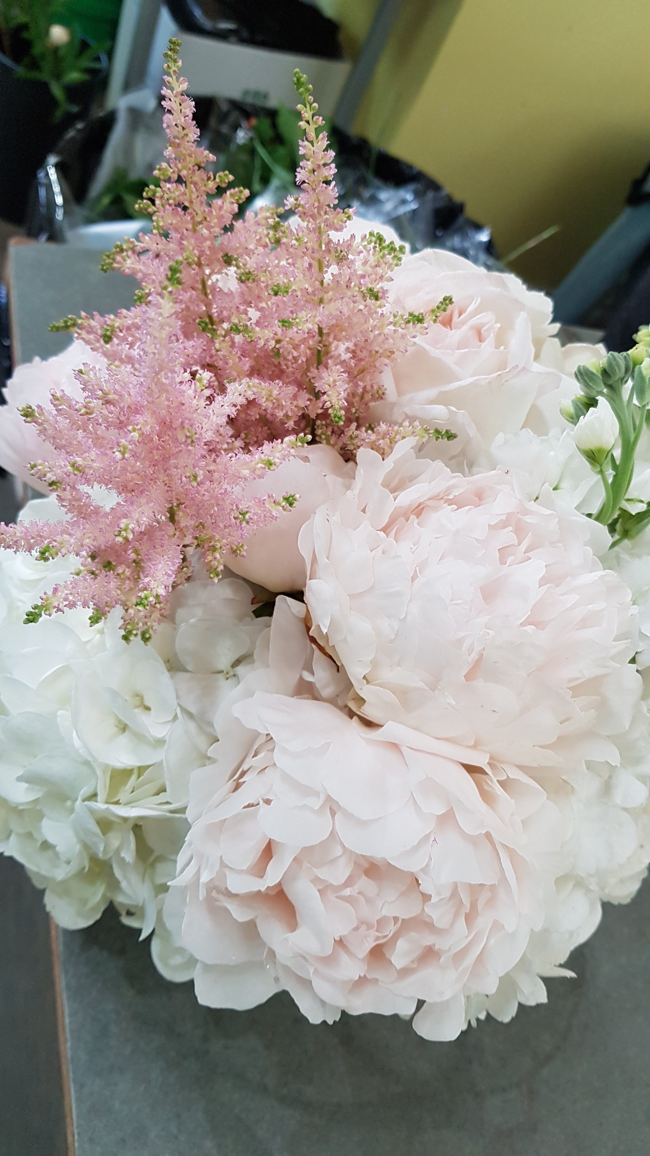 Hazel Blushes - Immanuel Florist