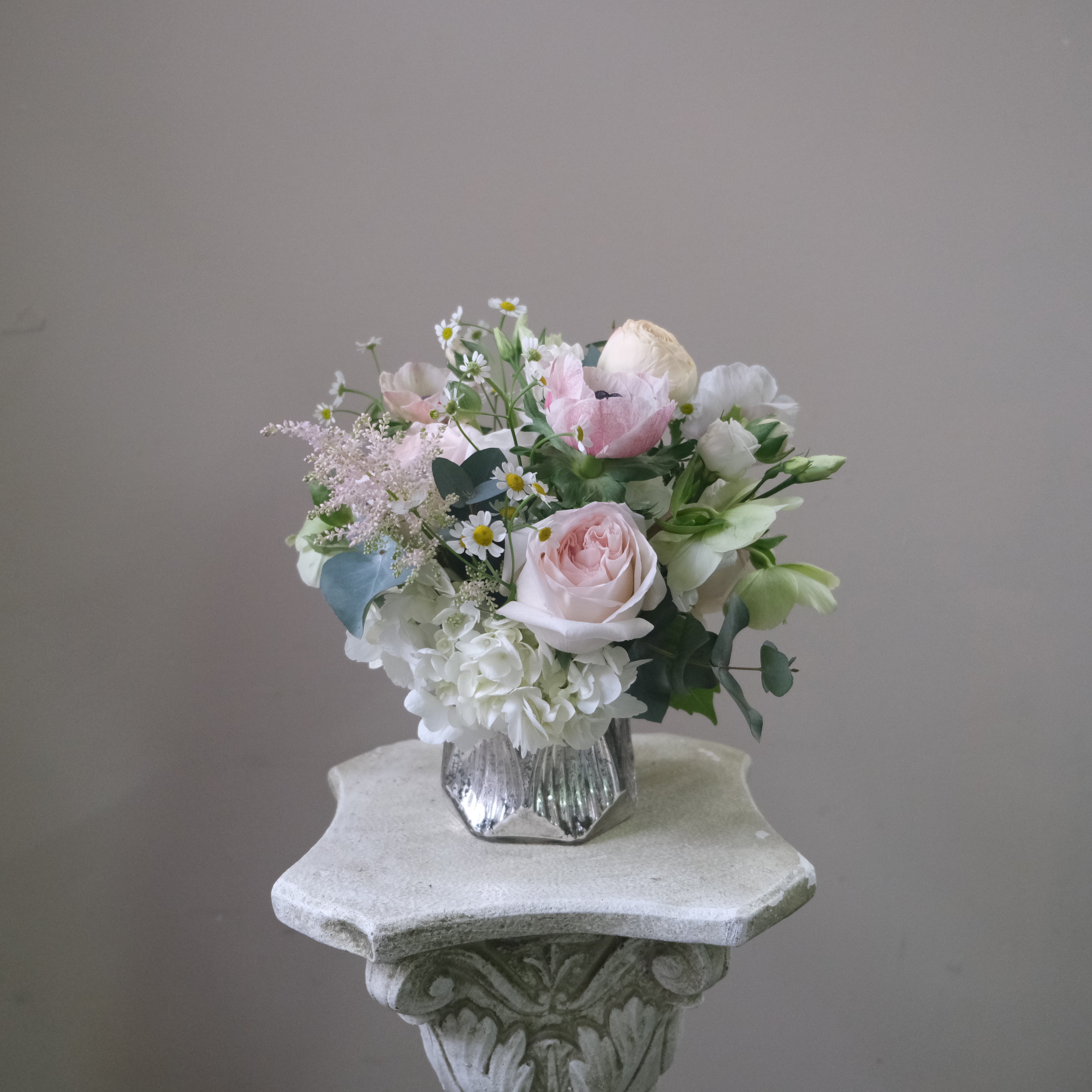 Pixie Dust - Immanuel Florist