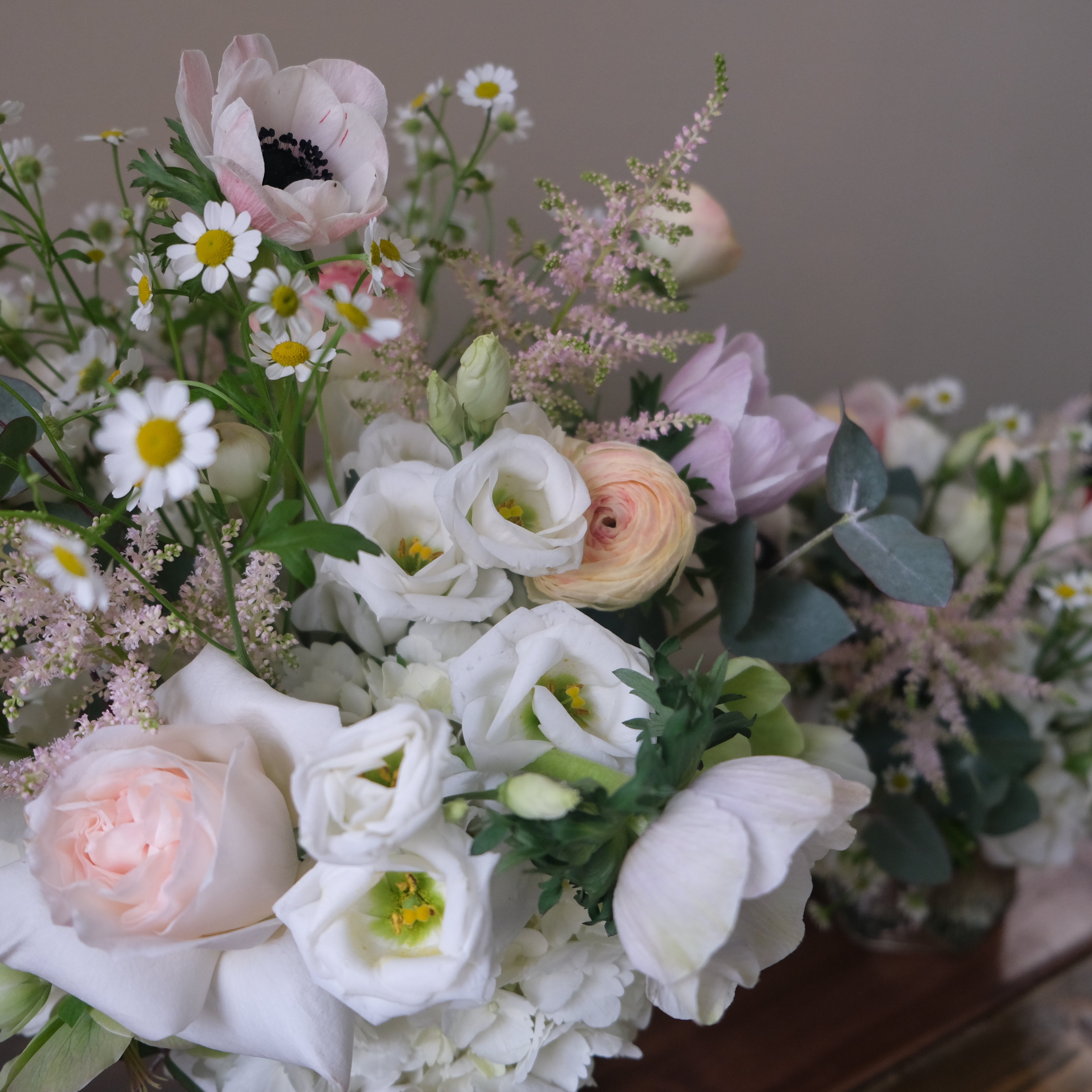 Pixie Dust - Immanuel Florist