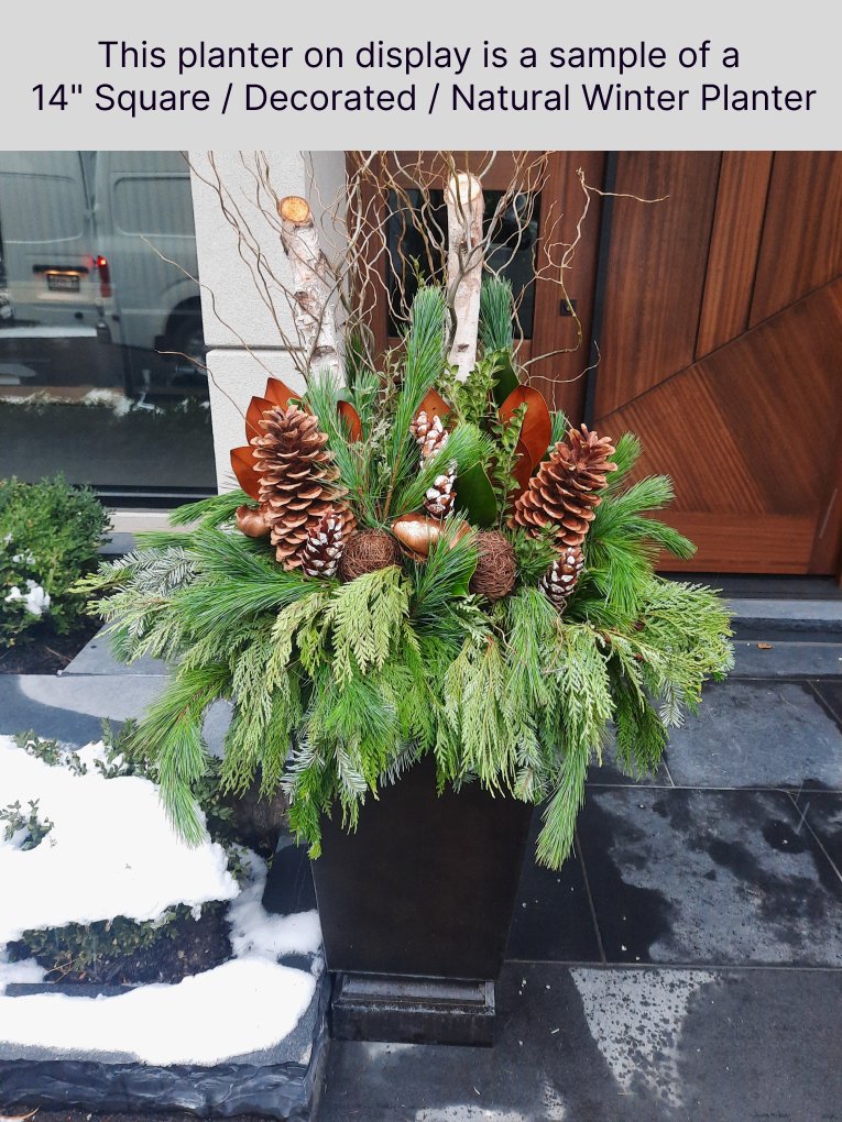 Winter Urn Planter - Immanuel Florist