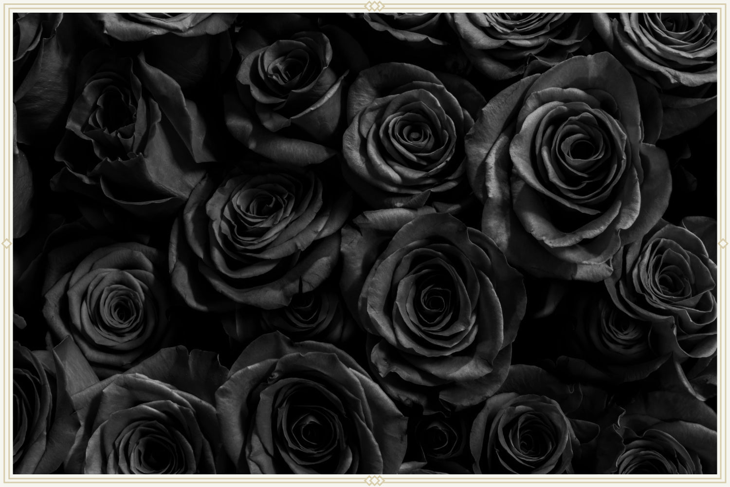 Wickedly Beautiful: Black Flowers and Their Symbolism - Immanuel Florist