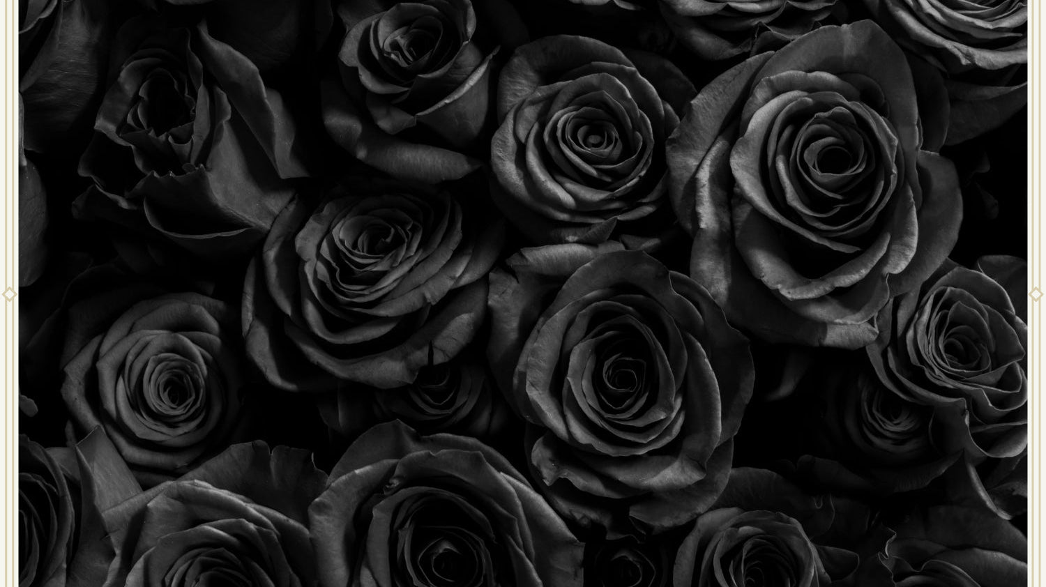 Wickedly Beautiful: Black Flowers and Their Symbolism - Immanuel Florist
