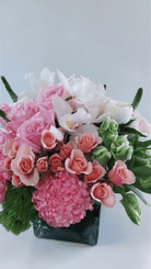 Coral Princess - Immanuel Florist