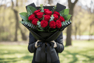 Midnight Velvet (Red Roses) - Immanuel Florist