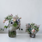 Pixie Dust - Immanuel Florist