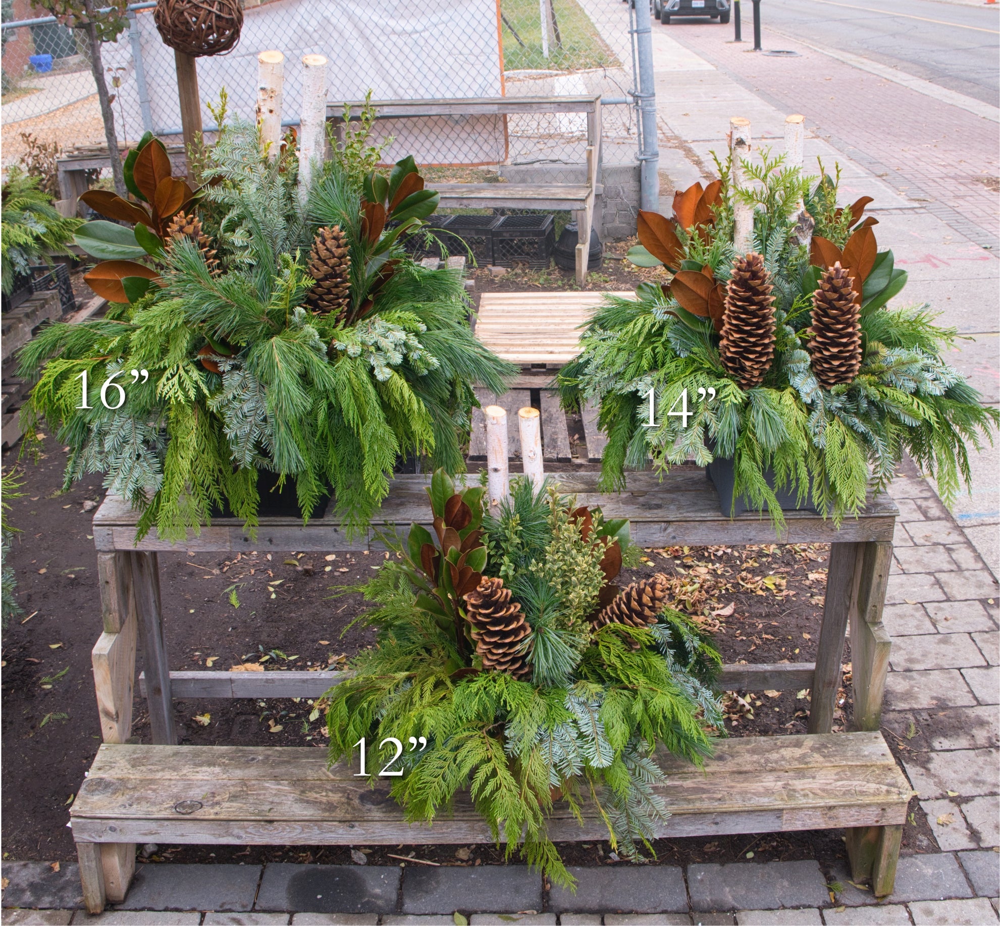 Winter Urn Planter - Immanuel Florist