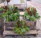 Winter Urn Planter - Immanuel Florist