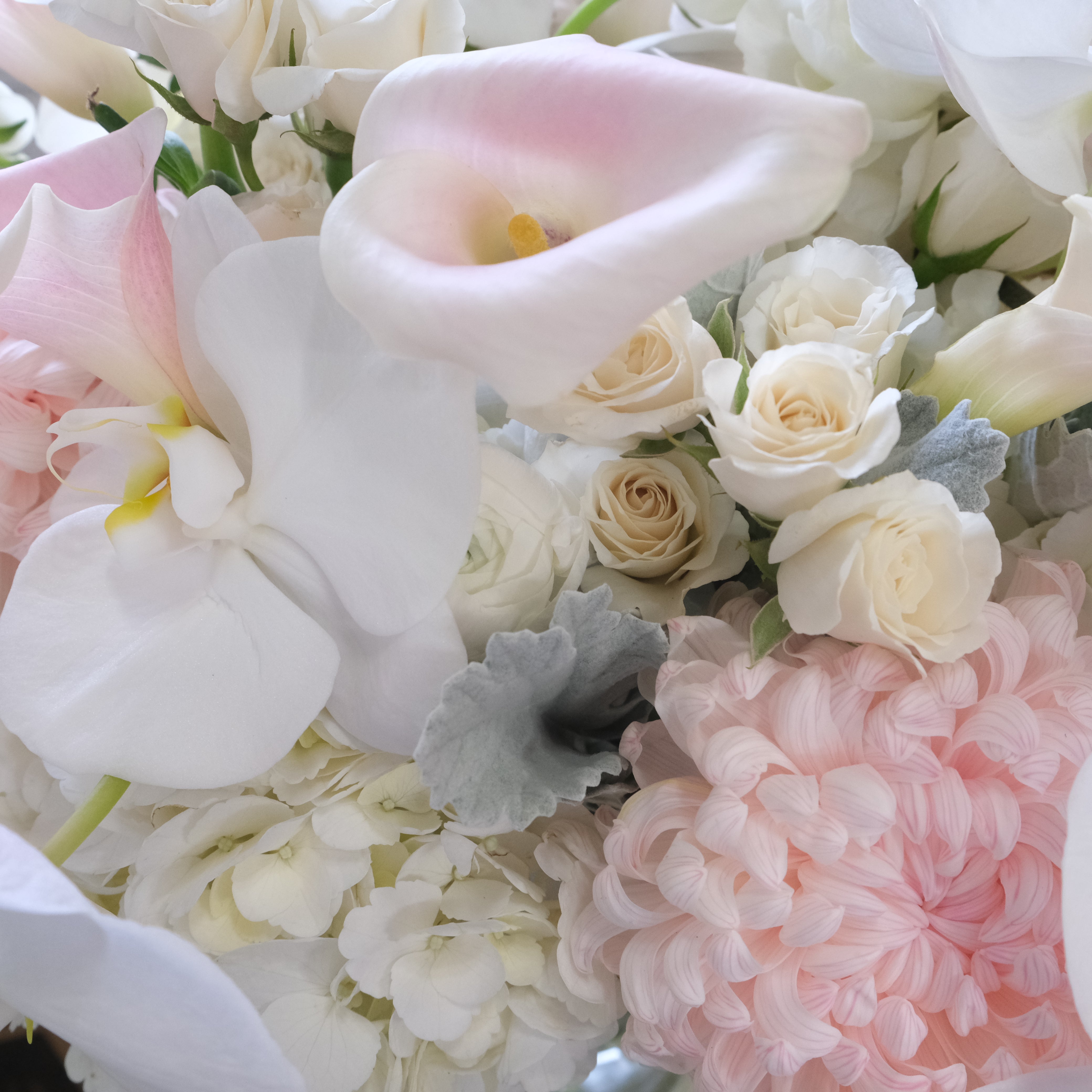 Castle in the Sky - Immanuel Florist