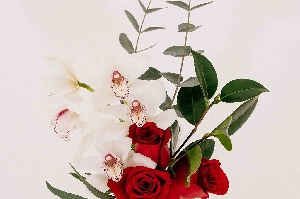 Childhood Romance - Immanuel Florist