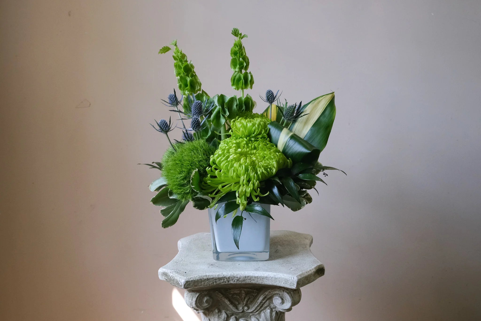 Green Envy - Immanuel Florist