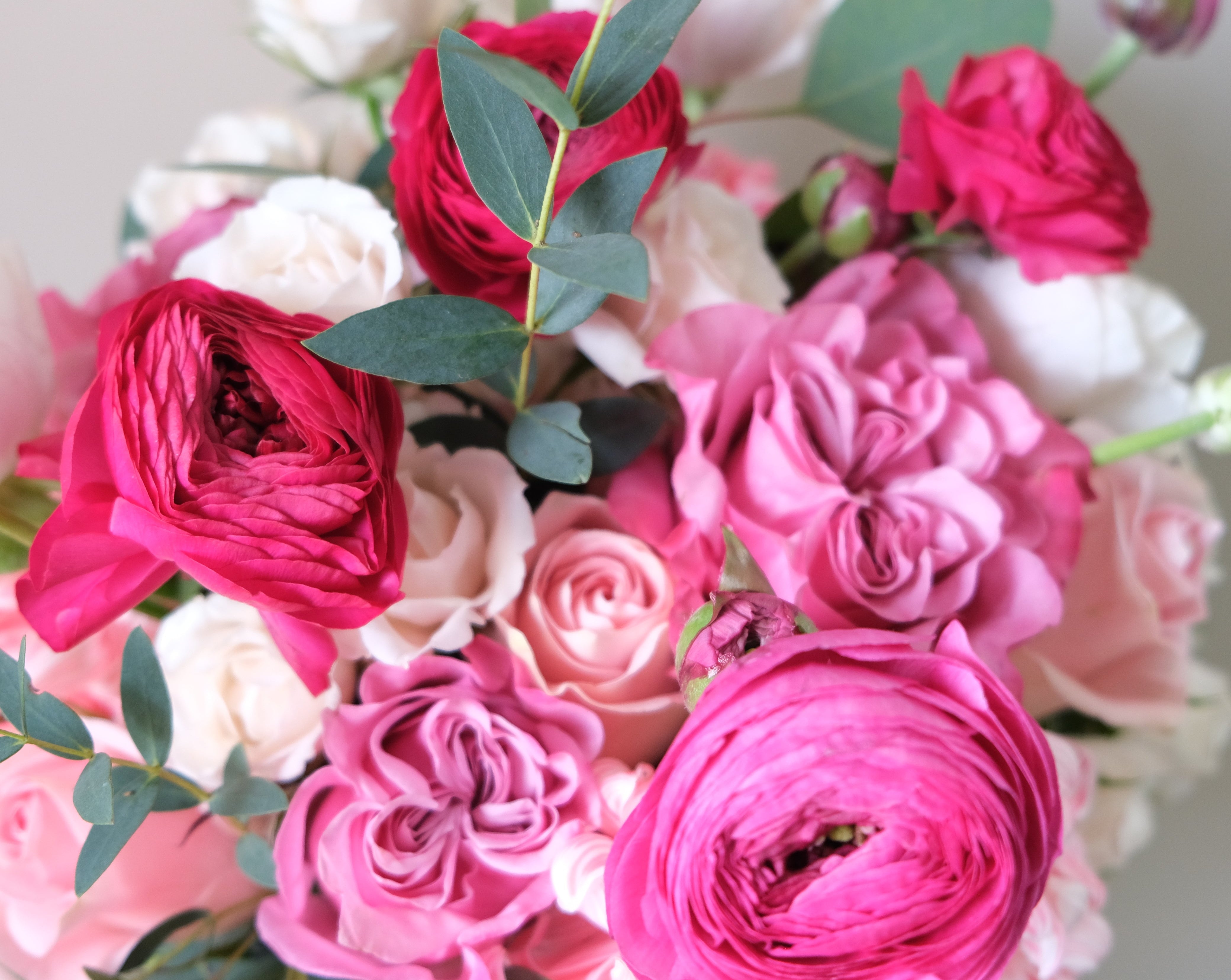 Pretty in Pink - Immanuel Florist