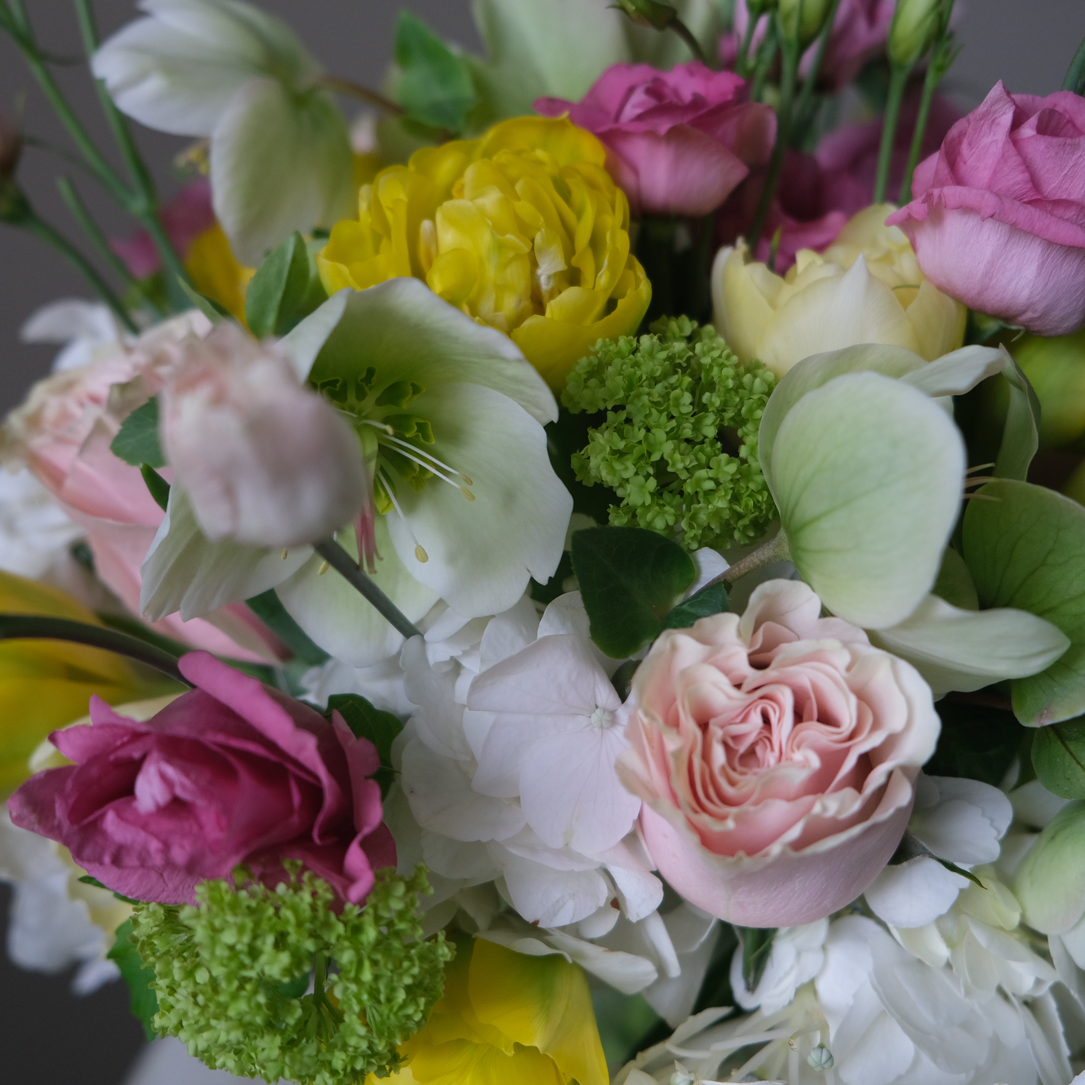 Spring Morning - Immanuel Florist